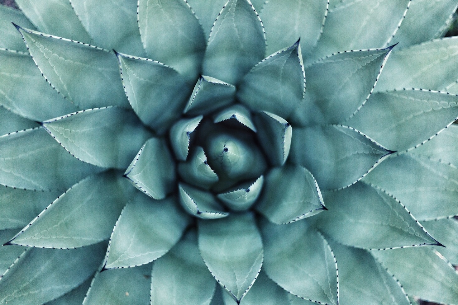 Dicas para viver com mais propósito e consciência